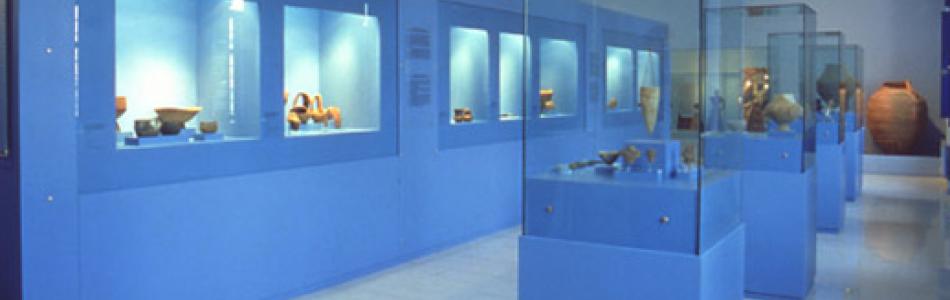 museum-displays.jpg